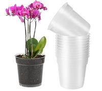 TYSM-CC 10 Vasi Trasparenti per Orchidee Ø11,5 cm con Fori di Drenaggio