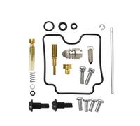 TYSMYXGS Kit di Riparazione Carburatore per Moto per Y&amaha XV1600 XV 1600 Road Star 1999-2003 Xvs1100 Xvs1100a Xvs1100a Kit di Revisione Set di Ricostruzione Carburatore(Kit 1)