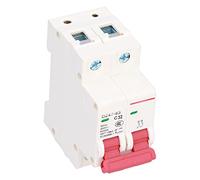 TYTOGE Interruttore Automatico Miniaturizzato 2P, Copertura in PC Resistente Agli Urti e Alle Cadute con Finestra Visiva per la Distribuzione Dell'energia Luminosa Negli Edifici R (32A)
