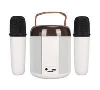 TYTOGE Macchina per Karaoke, Altoparlante 2 Microfoni Wireless Set Portatile Bluetooth 5.3 per la Casa per il Campeggio (Bianca)