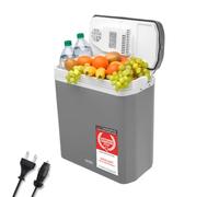 TZS First Austria - Frigorifero portatile 24L elettrico 12V 230V presa per auto e standard - Frigo termoelettrico raffredda e riscalda - Coolbox con manico - Per campeggio, festival, viaggi - Grigio