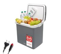 TZS First Austria - Frigorifero portatile 32L elettrico 12V 230V presa per auto e standard - Frigo termoelettrico raffredda e riscalda - Coolbox con manico - Per campeggio, festival, viaggi - Grigio