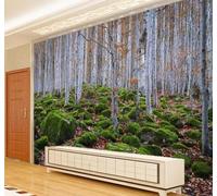 Tzxztt Bello Autunno Collina Foresta Paesaggio Moderna Carta Da Parati 3D Seta Pregiata Testurizzata Ideale Per La Camera Letto Del Soggiorno-300cm×210cm