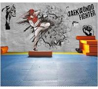 Tzxztt Creativo Persone Taekwondo Palestra Boxe Moderna Carta Da Parati 3D Seta Pregiata Testurizzata Ideale Per La Camera Letto Del Soggiorno-150cm×105cm