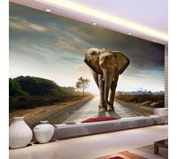 Tzxztt Elefanti Indiani Fotografia Stradale A Tema Tailandese Moderna Carta Da Parati 3D Seta Pregiata Testurizzata Ideale Per La Camera Letto Del Soggiorno-300cm×210cm