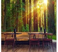 Tzxztt Luce Del Sole Freschezza Vegetazione Foresta Sentiero Di Ardesia Moderna Carta Da Parati 3D Seta Pregiata Testurizzata Ideale Per La Camera Letto Del Soggiorno-150cm×105cm