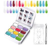 U-Shinein Gradient Painting Gel, 12 colori Ombre Gel Polish Nail Polish with 100pcs Nail Sponges & 4 Claws Metal Grabber for French Manicure DIY Nail Art Set I