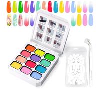 U-Shinein Gradient Painting Gel, 12 colori Ombre Gel Polish Nail Polish with 100pcs Nail Sponges & 4 Claws Metal Grabber for French Manicure DIY Nail Art Set C
