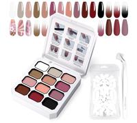 U-Shinein Gradient Painting Gel, 12 colori Ombre Gel Polish Nail Polish with 100pcs Nail Sponges & 4 Claws Metal Grabber for French Manicure DIY Nail Art Set H