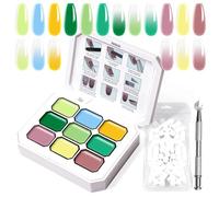U-Shinein Gradient Painting Gel, 9 colori Ombre Gel Polish Nail Polish with 100pcs Nail Sponges & 4 Claws Metal Grabber for French Manicure DIY Nail Art Set R