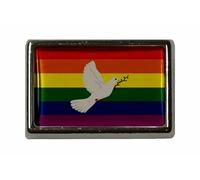 U24 Spilla arcobaleno con colomba della pace, spilla con bandiera, Acrilico