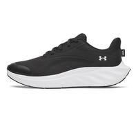 UA BGS Ascend