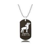 UBBVPKY Collana Con Ciondolo A Forma Di Targhetta Con Il Nome Dello Zodiaco Regalo Di Compleanno Per Astrologia 12 Costellazioni Oroscopo Collane Delicate Per Donne Uomini E Adolescenti Capricorno
