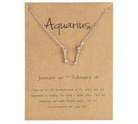 UBBVPKY Collana Con Costellazione 12 Segni Zodiacali Ciondolo Con Collana In Oroscopo Con Diamanti Collane Astrologiche Gioielli Per Il Compleanno Regali Per Donne E Uomini Acquario