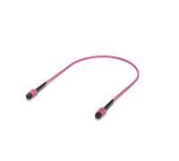 Ubiquiti UACC-OFC-MA-MPMP-30M OM4 MPO-12 UPC Cavo Patch in Fibra