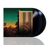 Haunt the Woods Ubquity (Vinyl LP) 12" Album
