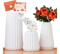 UCAMP Set di 3 Vasi in Ceramica Bianca, Decorativi per Interno, Stile Nordic Minimalista, Vaso di Fiori Matt