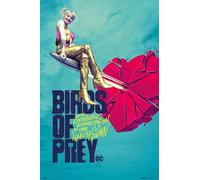 Uccelli da Preda Rotto Cuore Film Poster 61x91.5 CM 61x91.4cm Nuovo Sigillato