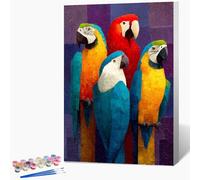 Uccelli Dipingere con i Numeri Adulti con Telaio, Colore Dipingere con i Numeri Kit, DIY Disegni da Colorare per Adulti con Pennelli e Vernice Acrilica, Regalo Amica, Decorazioni Casa 30x40cm L-4678