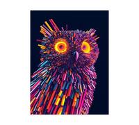 Uccelli Dipingere con i Numeri Adulti Gufo Dipingere con i Numeri Bambini 95x70cm, Kit Pittura Adulti con Colore Impermeabile Canvas per Quadri Moderni Soggiorno Decorazioni Parete Regalo 2YH-12916