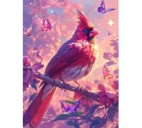Uccelli farfalla Dipingere con i Numeri per Adulti Con Cornice 55x70cm,Kit di Pittura a Olio su Tela Fai da Te per Principianti con pennelli e pigmenti Acrilici per Decora Regalo