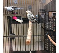 Uccellino Giocattolo Giocattoli Cockatiel Per Gabbia Stand Da Gioco Pappagalli