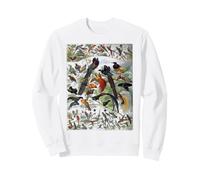 Uccello Natura Birding Watcher Ornitologia Grafico Tipi di Uccelli Felpa
