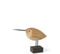 Uccello Nordico Caldo Becco Sveglio Beccaccino Teak