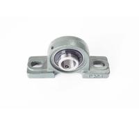 UCP205 - SUPPORTO IN GHISA COMPLETO 25MM
