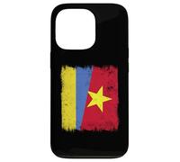Ucraina Vietnam Half Flag Storia ucraina vietnamita Custodia per iPhone 13 Pro