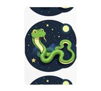 UDFKGLP Serpente verde nel cielo stellato Modello Pittura decorativa in latta 20,3x30,5 cm Realizzato in banda stagnata, resistente all'usura e durevole