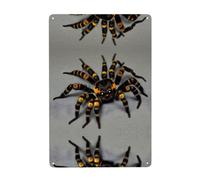 UDFKGLP Simpatico dipinto decorativo in latta con motivo a ragno tarantola 20,3 x 30,5 cm Realizzato in banda stagnata, resistente all'usura e durevole