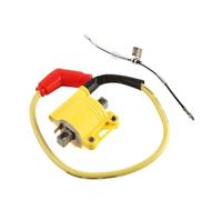 UDHKRF Scatola CDI unità Scatola unità CDI Bobina di Accensione CDI con Interruttore Dip per ZhongShen NC250 NC300 NC 250 NC 300 Modulo Parti Motore Moto
