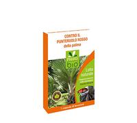 UEBER Feromoni contro il punteruolo rosso della palma
