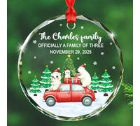 Ufficialmente una famiglia di tre ornamenti in vetro regalo per il nuovo bambino adottato, data nome famiglia orso polare adozione ornamento natalizio 2025, ornamenti personalizzati in vetro per