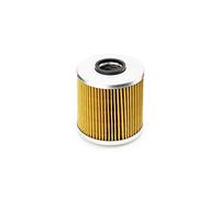 Ufi Filtro Olio Bmw 25.541.00