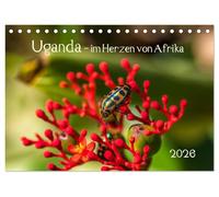 Uganda - im Herzen von Afrika (Tischkalender 2026 DIN A5 quer), CALVENDO Monatskalender: Reise durch ein wunderschönes zentrales afrikanisches Land.