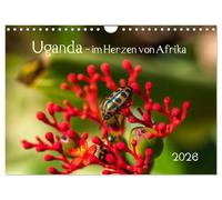Uganda - im Herzen von Afrika (Wandkalender 2026 DIN A4 quer), CALVENDO Monatskalender: Reise durch ein wunderschönes zentrales afrikanisches Land.
