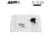 UGELLO GETTO LAVACRISTALLO ORIGINALE PEUGEOT 207 3008 6438Y3