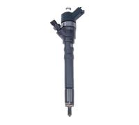 Ugello Iniettore Benzina Iniettore Common Rail Della Pompa Diesel Delle Componenti Del Motore Dell'automobile 0445110064 33800-27000 33800-27010 3380027900