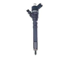 Ugello Iniettore Benzina Iniettore Common Rail Della Pompa Diesel Delle Componenti Del Motore Dell'automobile 0445110064 33800-27000 33800-27010 3380027900