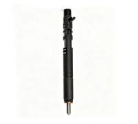 Ugello Iniettore Benzina Iniettore Di Carburante EJBR03301D | EJBR05301D EJBR02801D EJBR02901D EJBR06101D Iniettore Diesel Common Rail Per Delphi Iniettore Di Carburante(EJBR05301D)
