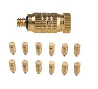 Ugello nebulizzatore in ottone, Ugelli Mister in ottone ad alta pressione da 30 pezzi for spruzzatore 0,1-0,9 mm,004-0,035 in orifizio(0.1MM)