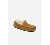 UGG - Ascot Beige - Pantofole 41 Beige