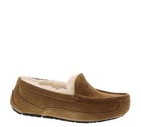 UGG Ascot, Pantofole Unisex - Bambini e ragazzi, Marrone (Chestnut Suede), 31 EU