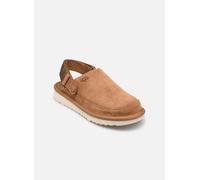 K Goldenstar Clog by UGG 36 Marrone