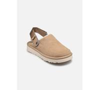 UGG - M GOLDENCOAST CLOG Beige - Pantofole 43 Beige