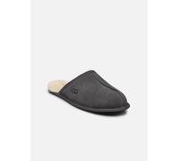 UGG - M Scuff Grigio - Pantofole 40 Grigio