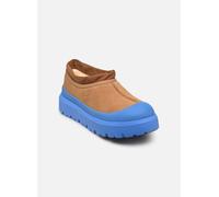 UGG - M Tasman Weather Hybrid Marrone - Stivaletti e tronchetti 43 Marrone