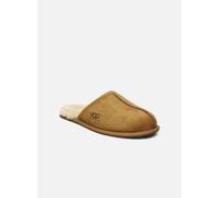 UGG - M Scuff Marrone - Pantofole 48 1/2 Marrone